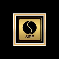 RARE-T Seal (1994) - II Gold LP Limited Signature Edition Studio Licensed Custom Frame