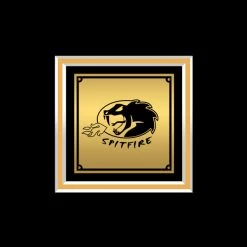 RARE-T Zakk Wylde Book Of Shadows Gold LP Limited Signature Edition Studio Licensed Custom Frame