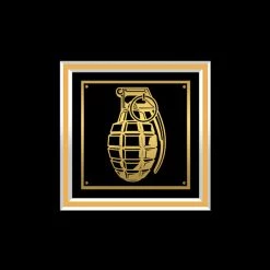 RARE-T Limited Edition Frames Bruno Mars - Doo-Wops & Hooligans Gold LP Limited Signature Edition Studio Licensed Custom Frame