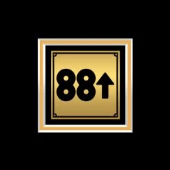 RARE-T Limited Edition Frames Rich Brian - Amen Gold LP Limited Signature Edition Studio Licensed Custom Frame