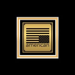 Rare-T Limited Edition Frames System Of A Down - 1998 Gold LP Limited Signature Edition Studio Licensed Custom Frame