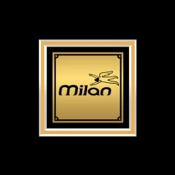 RARE-T The Seatbelts – Cowboy Bebop - Original Series Soundtrack Gold LP Limited Signature Edition Studio Licensed Custom Frame