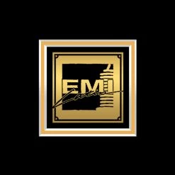 RARE-T Thalia Arrasando - Self-Titled Gold LP Limited Signature Edition Studio Licensed Custom Frame