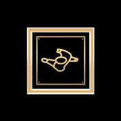 RARE-T Limited Edition Frames Moby - Play Gold LP Limited Signature Edition Studio Licensed Custom Frame