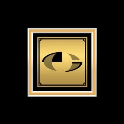 RARE-T Oasis What’s The Story Morning Glory Gold LP Limited Signature Edition Studio Licensed Custom Frame