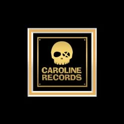 RARE-T Primus Frizzle Fry Gold LP Limited Signature Edition Studio Licensed Custom Frame 13 RARE-T Primus Frizzle Fry Gold LP Limited Signature Edition Studio Licensed Custom Frame