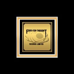 RARE-T Joe Satriani - Flying In A Blue Dream Gold LP Limited Signature Edition Studio Licensed Custom Frame