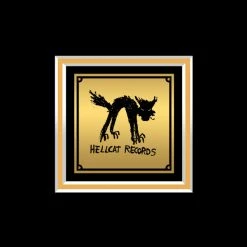 RARE-T Dropkick Murphys - Blackout Gold LP Limited Signature Edition Studio Licensed Custom Frame 17 RARE-T Dropkick Murphys - Blackout Gold LP Limited Signature Edition Studio Licensed Custom Frame