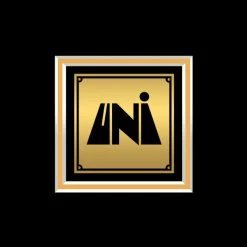 RARE-T Limited Edition Frames Neil Diamond - Stones Gold LP Limited Signature Edition Studio Licensed Custom Frame