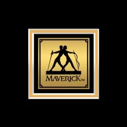 RARE-T Limited Edition Frames Deftones White Pony Gold LP Limited Signature Edition Studio Licensed Custom Frame