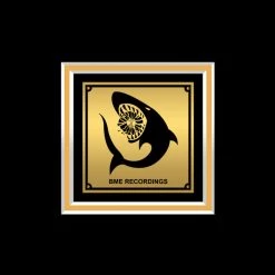 RARE-T Limited Edition Frames Lil’ Jon - Kings Of Crunk Gold LP Limited Signature Edition Studio Licensed Custom Frame