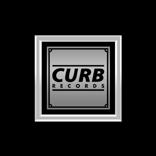 RARE-T Tim McGraw - Everywhere Platinum LP Limited Signature Edition Studio Licensed Custom Frame 6 RARE-T Tim McGraw - Everywhere Platinum LP Limited Signature Edition Studio Licensed Custom Frame