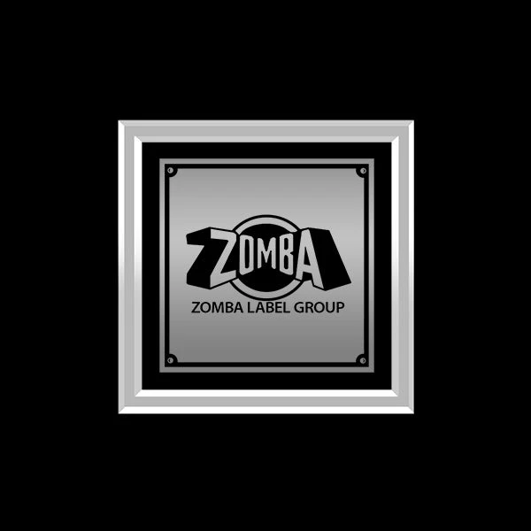 RARE-T Tool - Vicarious Platinum LP Limited Signature Edition Studio Licensed Custom Frame Limited Edition Frames 7 RARE-T Tool - Vicarious Platinum LP Limited Signature Edition Studio Licensed Custom Frame Limited Edition Frames