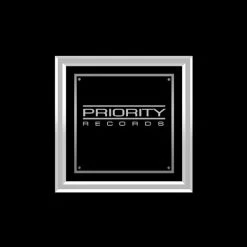 RARE-T Limited Edition Frames Ice Cube - Amerikkka's Most Wanted Platinum LP Limited Signature Edition Studio Licensed Custom Frame