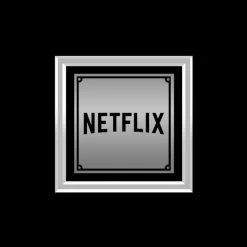 RARE-T Gold & Platinum Records Stranger Things - Music From The Netflix Original Series Platinum LP Limited Signature Edition Studio Licensed Custom Frame