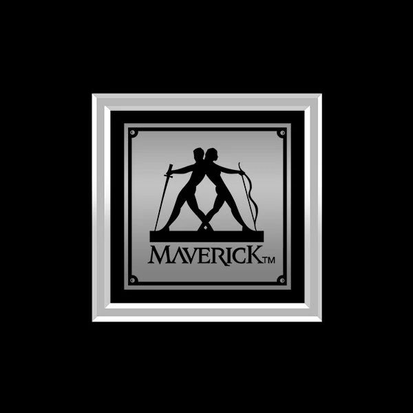 RARE-T Limited Edition Frames Deftones White Pony Platinum LP Limited Signature Edition Studio Licensed Custom Frame 5 RARE-T Limited Edition Frames Deftones White Pony Platinum LP Limited Signature Edition Studio Licensed Custom Frame