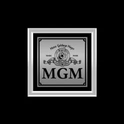 RARE-T Limited Edition Frames Hank Williams - Moanin' The Blues Platinum LP Limited Signature Edition Studio Licensed Custom Frame