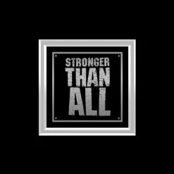 RARE-T Pantera - Vulgar Display Of Power Platinum LP Limited Signature Edition Studio Licensed Custom Frame 15 RARE-T Pantera - Vulgar Display Of Power Platinum LP Limited Signature Edition Studio Licensed Custom Frame