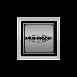 RARE-T Limited Edition Frames Kylie Minogue - Impossible Princess Platinum LP Limited Signature Edition Studio Licensed Custom Frame