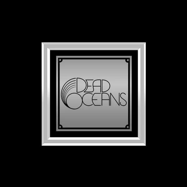 RARE-T Phoebe Bridgers - Punisher Platinum LP Limited Signature Edition Studio Licensed Custom Frame Limited Edition Frames 7 RARE-T Phoebe Bridgers - Punisher Platinum LP Limited Signature Edition Studio Licensed Custom Frame Limited Edition Frames