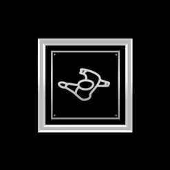 RARE-T Moby - Play Platinum LP Limited Signature Edition Studio Licensed Custom Frame Limited Edition Frames