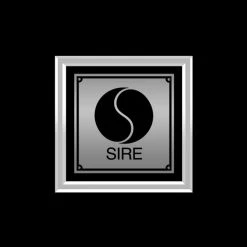 RARE-T Madonna - I'm Breathless Platinum LP Limited Signature Edition Studio Licensed Custom Frame