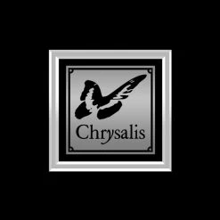 RARE-T Sinead O'Connor - I Do Not Want What I Haven't Got Platinum LP Limited Signature Edition Studio Licensed Custom Frame Limited Edition Frames