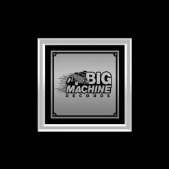 RARE-T Limited Edition Frames Taylor Swift Fearless Platinum LP Limited Signature Edition Studio Licensed Custom Frame 13 RARE-T Limited Edition Frames Taylor Swift Fearless Platinum LP Limited Signature Edition Studio Licensed Custom Frame