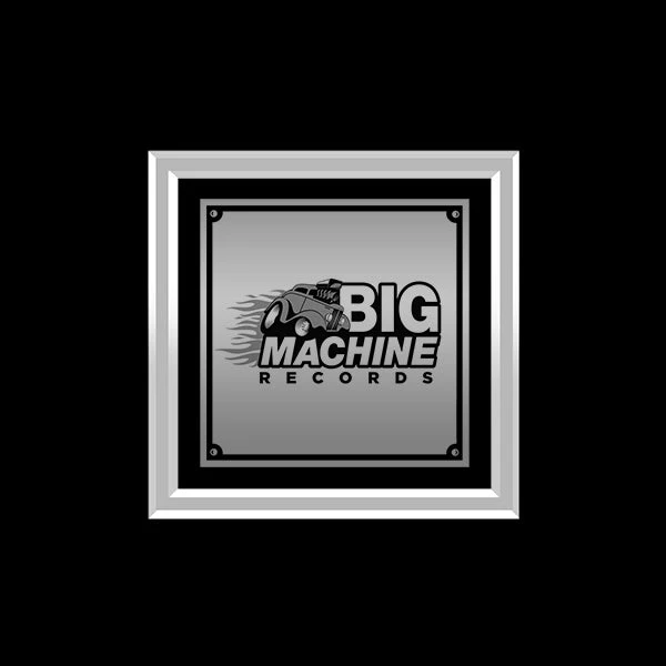 RARE-T Taylor Swift - Speak Now Platinum LP Limited Signature Edition Studio Licensed Custom Frame 7 RARE-T Taylor Swift - Speak Now Platinum LP Limited Signature Edition Studio Licensed Custom Frame