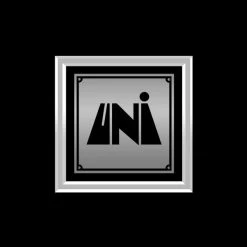 RARE-T Limited Edition Frames Neil Diamond - Stones Platinum LP Limited Signature Edition Studio Licensed Custom Frame