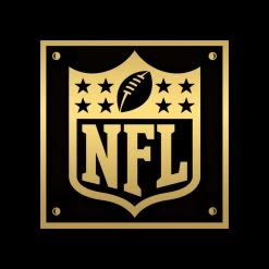 PPC Joe Montana- San Francisco 49Ers JSA Witnessed Certified Hand-Signed Full Size Helmet By Joe Montana Custom Museum Display