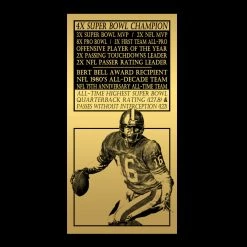 PPC Joe Montana- San Francisco 49Ers JSA Witnessed Certified Hand-Signed Full Size Helmet By Joe Montana Custom Museum Display