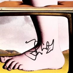 Rare-T Monty Python - Flying Circus Limited Signature Edition Studio Licensed Platinum LP Custom Frame Limited Edition Frames