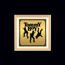 RARE-T Limited Edition Frames Naughty By Nature - O.P.P. Gold LP Limited Signature Edition Studio Licensed Custom Frame