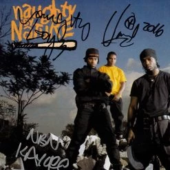 RARE-T Limited Edition Frames Naughty By Nature - O.P.P. Gold LP Limited Signature Edition Studio Licensed Custom Frame