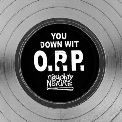 RARE-T Limited Edition Frames Naughty By Nature - O.P.P. Platinum LP Limited Signature Edition Studio Licensed Custom Frame