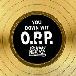 RARE-T Limited Edition Frames Naughty By Nature - O.P.P. Gold LP Limited Signature Edition Studio Licensed Custom Frame