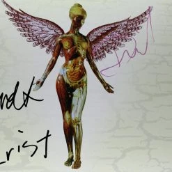 RARE-T Nirvana In Utero LP Cover Limited Signature Edition Studio Licensed Custom Frame