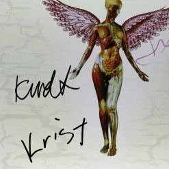 RARE-T Nirvana In Utero LP Cover Limited Signature Edition Studio Licensed Custom Frame