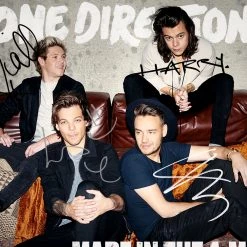 RARE-T Limited Edition Frames One Direction - Made In The A.M. LP Cover Limited Signature Edition Studio Licensed Custom Frame