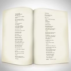 RARE-T Gargoyles Animted Series Transcript Limited Signature Edition Studio Licensed Custom Frame Limited Edition Frames