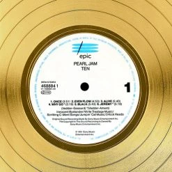 RARE-T Pearl Jam Ten Gold LP Limited Signature Edition Studio Licensed Custom Frame 14 RARE-T Pearl Jam Ten Gold LP Limited Signature Edition Studio Licensed Custom Frame