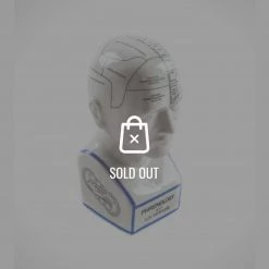 RARE-T Collectible Statues Craquelure Porcelain 'L.N. Fowler Phrenology' Guide Bust/Statue