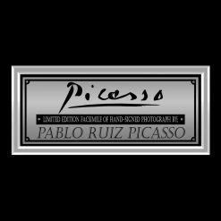 RARE-T Pablo Ruiz Picasso Limited Signature Edition Studio Licensed Photo Custom Frame