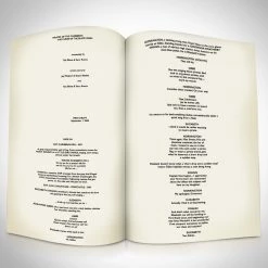 RARE-T Limited Edition Frames Pirates Of The Caribbean The Curse Of The Black Pearl Script Limited Signature Edition Custom Frame