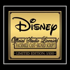 RARE-T Limited Edition Frames Pirates Of The Caribbean Movie Script Limited Signature Edition Studio Licensed Custom Frame