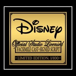 RARE-T Limited Edition Frames Pirates Of The Caribbean The Curse Of The Black Pearl Script Limited Signature Edition Custom Frame