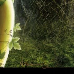 VAULT COLLECTIBLES Poison Ivy- Hand-Signed Artwork Print By Artist Nathan Szerdy Custom Frame Signed Memorabilia