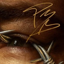 RARE-T Limited Edition Frames Post Malone Beerbongs And Bentleys Platinum LP Limited Signature Edition Studio Licensed Custom Frame