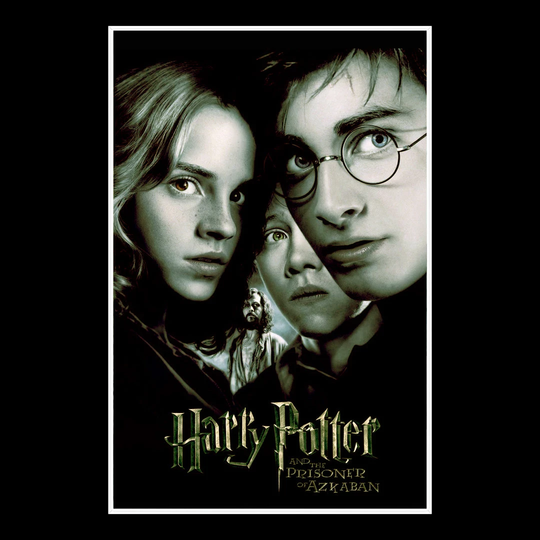RARE-T Harry Potter And The Prisoner Of Azkaban Script Limited Signature Edition Custom Frame 4 RARE-T Harry Potter And The Prisoner Of Azkaban Script Limited Signature Edition Custom Frame